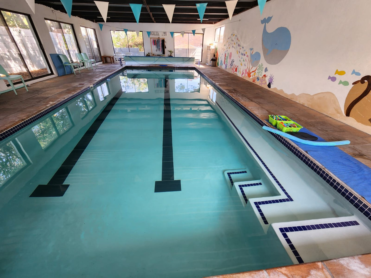 Was Eltern in den ersten Wochen des Schwimmunterrichts erwarten können Einblicke von Coach Alex, Glide Swim Academy