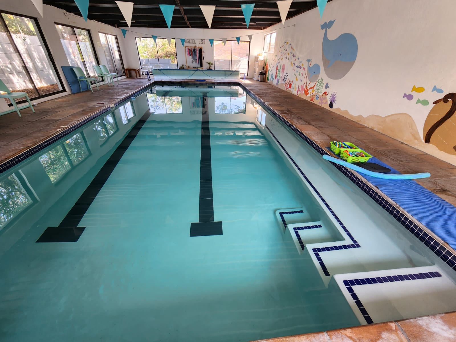 Was Eltern in den ersten Wochen des Schwimmunterrichts erwarten können Einblicke von Coach Alex, Glide Swim Academy
